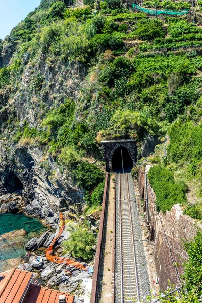 Europa Italien Cinque Terre Vernazza Railroad Tracks Amidst Trees Plants — Stockfoto