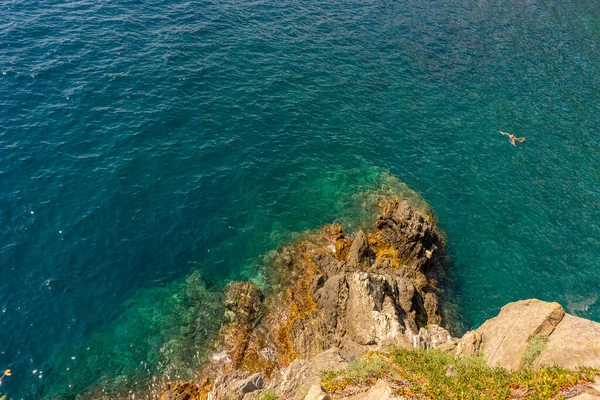 Europa Italia Cinque Terre Manarola Specchio Acqua — Foto Stock