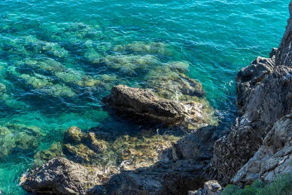 Europa Italien Cinque Terre Monterosso Eine Nahaufnahme Eines Felsens Neben — Stockfoto