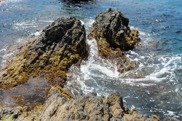 Italia Cinque Terre Manarola Litorale Roccioso Vicino Specchio Acqua — Foto Stock