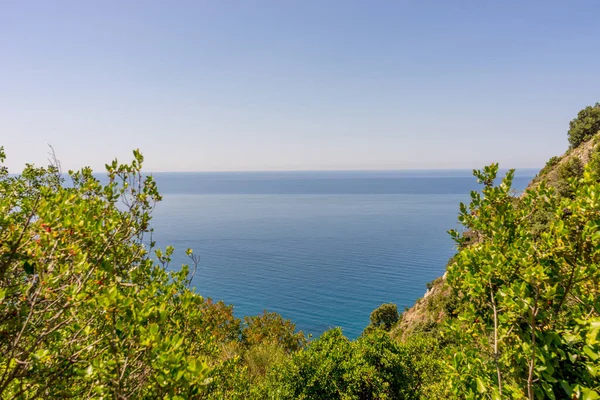 Avrupa Talya Cinque Terre Corniglia Bir Kütlesinin Yanındaki Ağaç — Stok fotoğraf