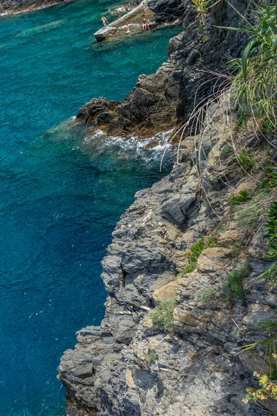 Europa Italia Cinque Terre Manarola Primo Piano Una Roccia Accanto — Foto Stock