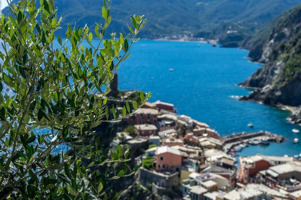 Europa Italien Cinque Terre Vernazza Stor Vattensamling Med Ett Berg — Stockfoto