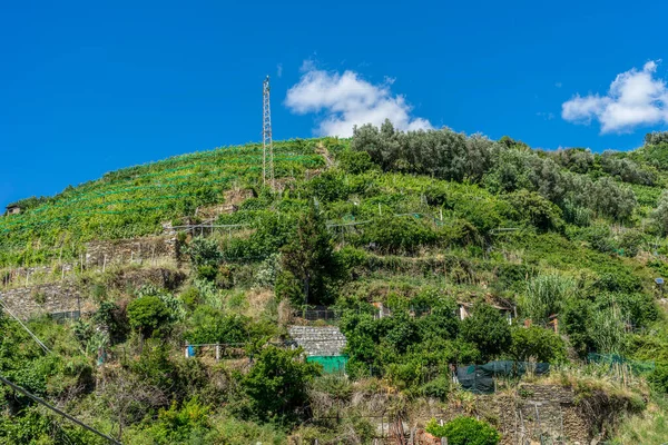 Europe Italy Cinque Terre Vernazza Scenic Overview Landscape Blue Sky — 图库照片