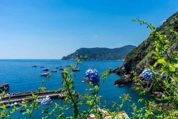 Европа Италия Cinque Terre Vernazza Маленькая Лодка Водоеме — стоковое фото