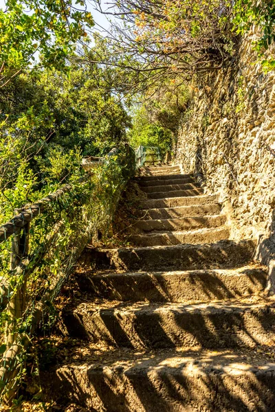 Evropa Itálie Cinque Terre Manarola Sunlight Falling Staircase Forest — Stock fotografie