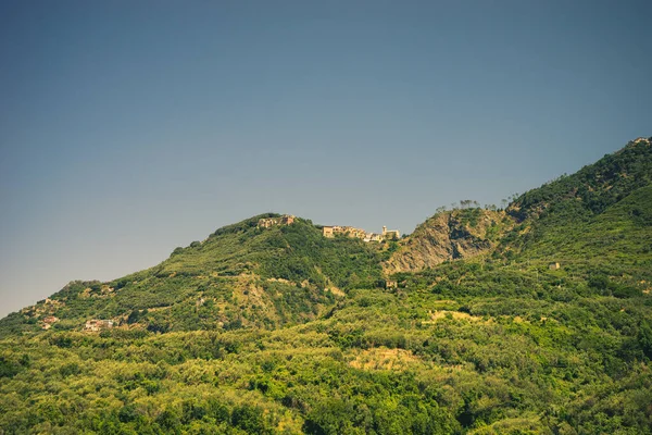 意大利 Cinque Terre Corniglia 一个大绿地 背景是树木 — 图库照片