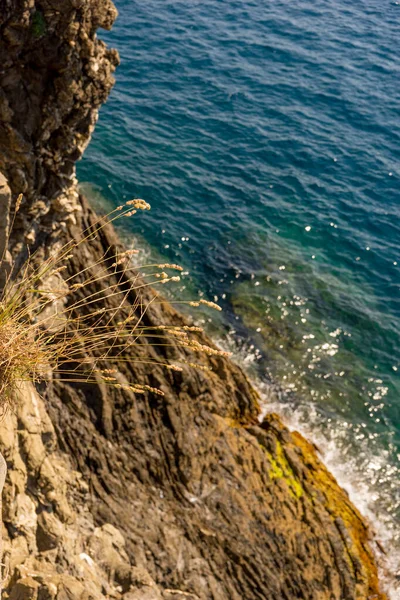 Europe Italy Cinque Terre Manarola Rocky Island Middle Body Water — Stock Photo, Image