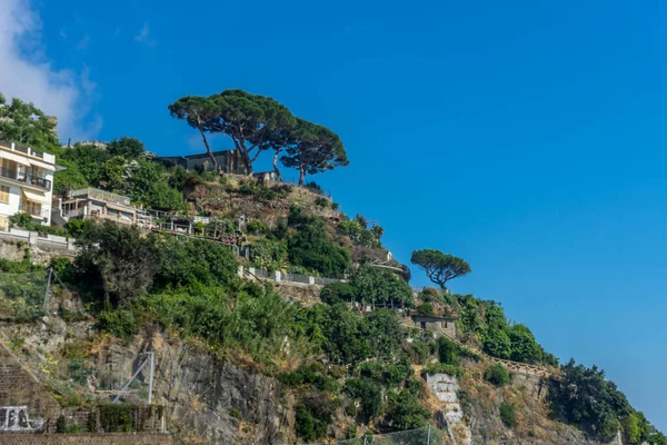 Europa Italia Cinque Terre Riomaggiore Árbol Con Una Montaña Fondo — Foto de Stock