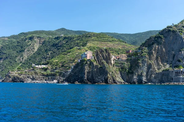 Italie Cinque Terre Riomaggiore Une Grande Exploitation Viticole Sur Versant — Photo