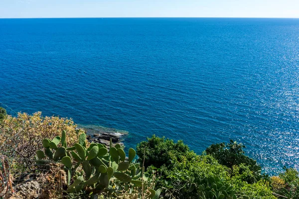 Європа Італія Cinque Terre Vernazza Водойма — стокове фото