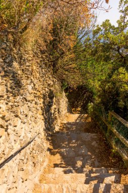 Avrupa, İtalya, Cinque Terre, Manarola, FOOTPATH AMIDST HASTANESİ