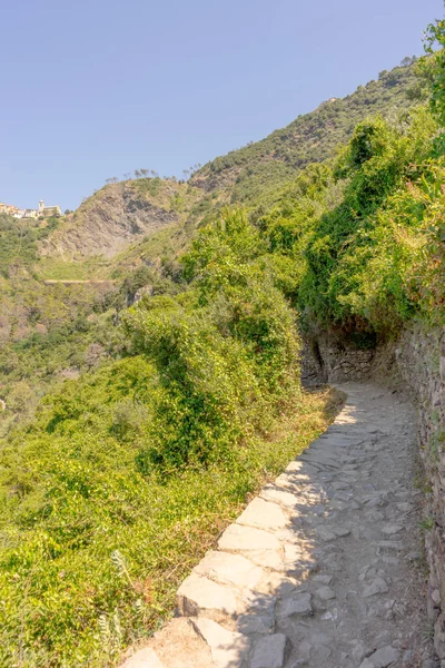 Europa Italia Cinque Terre Corniglia Camino Con Árboles Orillas Río — Foto de Stock