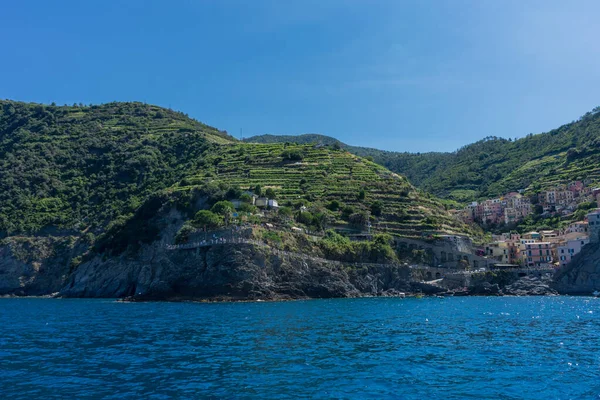Itália Cinque Terre Riomaggiore Uma Grande Quinta Vinhos Encosta Moutanin — Fotografia de Stock
