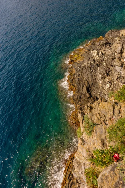 Europa Italia Cinque Terre Manarola Primer Plano Una Roca Junto —  Fotos de Stock