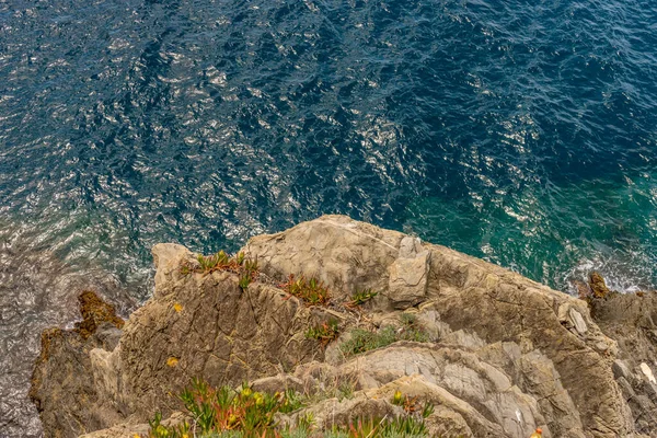 Europe Italy Cinque Terre Manarola High Angle Overview Rock Improvements — 图库照片