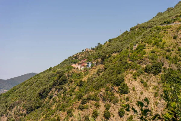 Europa Italien Cinque Terre Corniglia Eine Nahaufnahme Eines Sattgrünen Hügels — Stockfoto