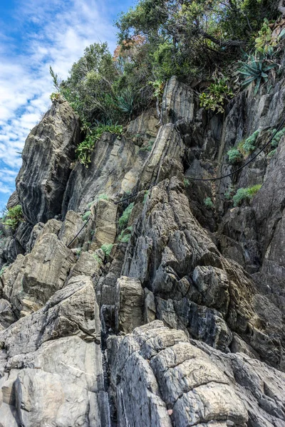 Europa Włochy Cinque Terre Riomaggiore Zbliżenie Dużej Skały — Zdjęcie stockowe