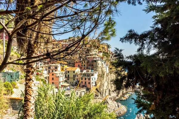 Manarola Cinque Terre Italy June 2018 Manarola Cinque Terre Italyの街並み — ストック写真