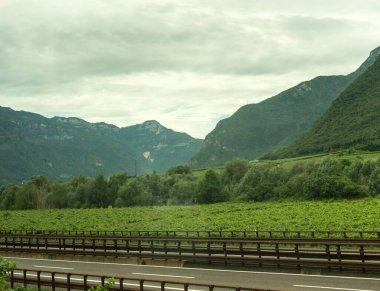 Avrupa, İtalya, La Spezia 'dan Kasltelruth trenine. Arkasında dağ olan büyük yeşil bir alan.