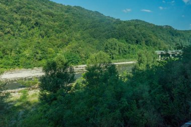 Avrupa, İtalya, La Spezia 'dan Kasltelruth trenine, arkasında dağ olan bir grup çalılık.