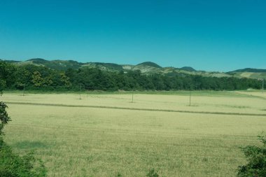 Avrupa, İtalya, La Spezia 'dan Kasltelruth trenine. Arkasında ağaçlar olan büyük yeşil bir alan.