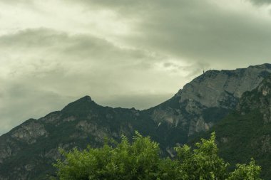 Avrupa, İtalya, La Spezia 'dan Kasltelruth trenine, arkasında dağ olan bir grup çalılık.