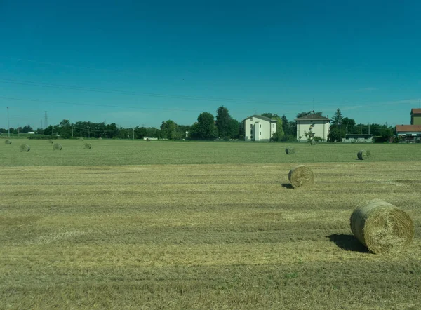 Europe Italy Spezia Kasltelruth Train Close Dry Grass Field — Stock Photo, Image