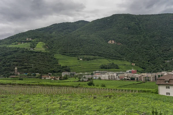 Europa Italia Spezia Kasltelruth Treno Castello Cima Campo Verde Lussureggiante — Foto Stock