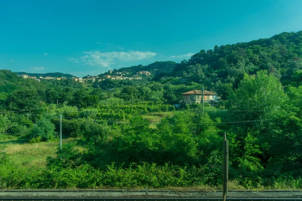 Europa Italia Spezia Kasltelruth Tren Árbol Con Una Montaña Fondo — Foto de Stock
