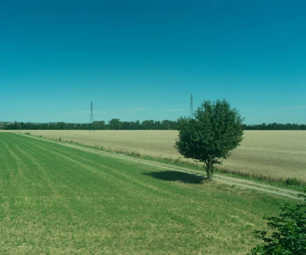 Europa Itália Spezia Para Kasltelruth Trem Close Campo Verde Exuberante — Fotografia de Stock