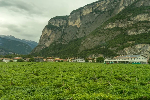 Evropa Itálie Spezia Vlak Kasltelruth Velké Zelené Pole Horou Pozadí — Stock fotografie