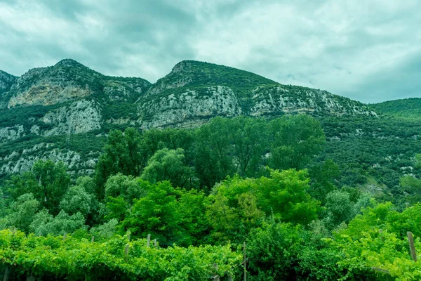 Ευρώπη Ιταλία Spezia Kasltelruth Τρένο Μια Ομάδα Θάμνων Ένα Βουνό — Φωτογραφία Αρχείου