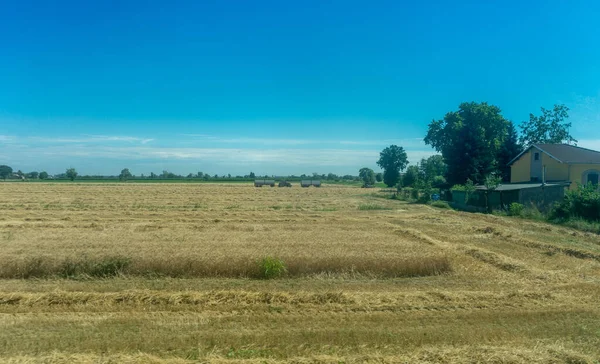 ヨーロッパ イタリア スペツィアからカスルトルースへの列車 乾燥した草原の近く — ストック写真