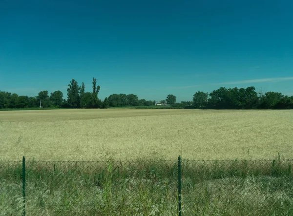 Europe Italy Spezia Kasltelruth Train Close Lush Green Field — Stock Photo, Image