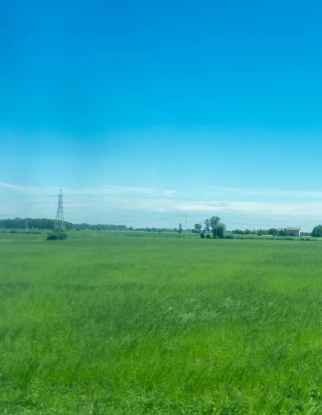 ヨーロッパ イタリア スペツィアからカスルトルースへ電車 背景に木のある大きな緑のフィールド — ストック写真