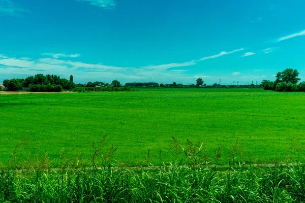 意大利 拉斯皮齐亚到卡斯尔特鲁思的火车 一片绿油油的大田野 背景是树木 — 图库照片