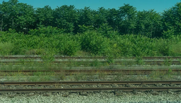 Europa Italien Spezia Nach Kasltelruth Zug Ein Großer Langer Zug — Stockfoto