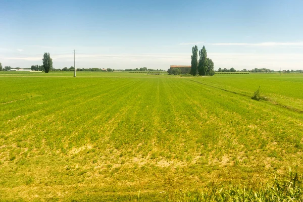 Europe Italy Spezia Kasltelruth Train Person Standing Lush Green Field — Stock Photo, Image