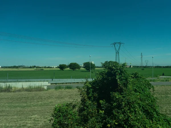 Europa Italia Spezia Kasltelruth Tren Una Manada Ganado Pastando Campo — Foto de Stock