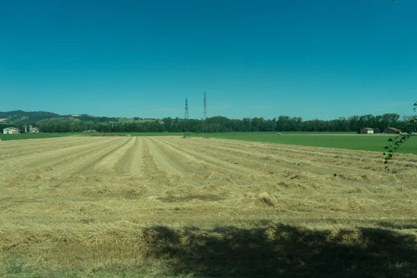 ヨーロッパ イタリア スペツィアからカスルトルースへの列車 乾燥した草原の近く — ストック写真