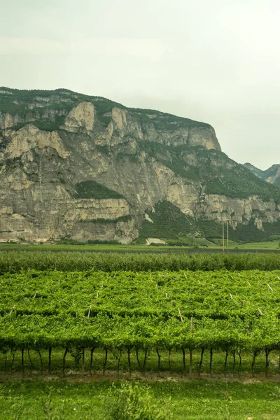Европа Италия Поезд Фаста Каслтелрут Большое Зеленое Поле Горой Заднем — стоковое фото
