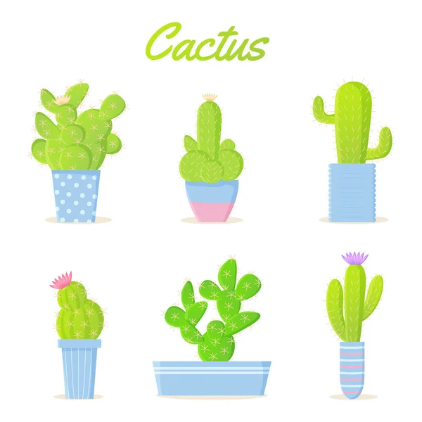 Conjunto Cactus Verano Dibujos Animados Brillantes Plantas Interior Exóticas Macetas — Archivo Imágenes Vectoriales