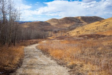 Yine de güzel Glenbow Ranch Provincial Park Alberta iz