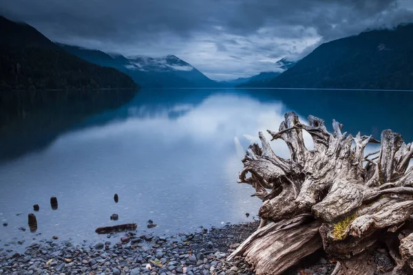 Old tree stump on the shore of Crescent Lake, Washington — Stock Photo, Image