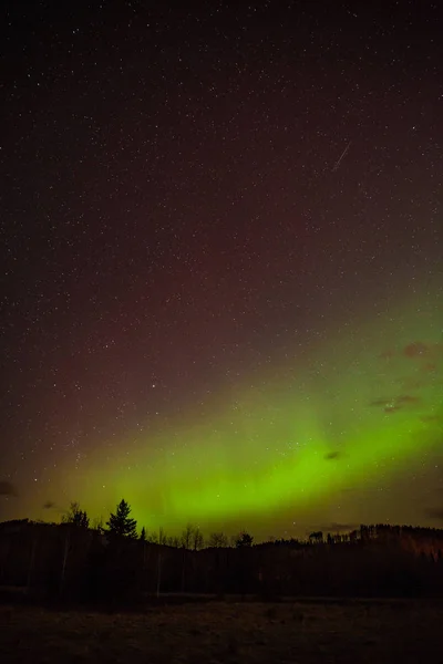 Aurora o NOre.net Luces sobre un bosque en Alberta — Foto de Stock