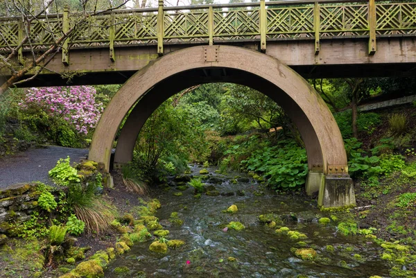 Uma ponte de madeira em Portlands Crystal Springs Rhododendron Garde — Fotografia de Stock