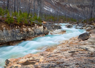 Mermer kanyon Kootenay Milli Parkı, Britanya Kolumbiyası