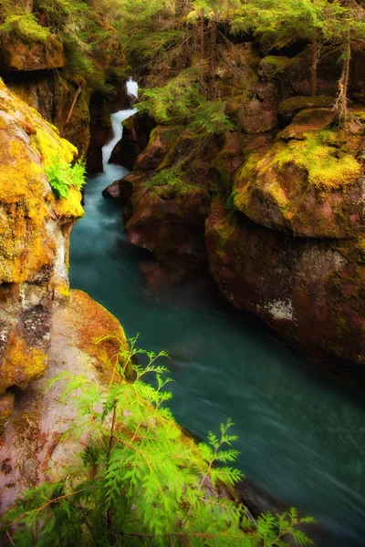 Çığ Creek Glacier Ulusal Parkı, Montana