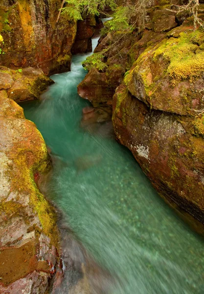 Çığ Creek Glacier Ulusal Parkı, Montana